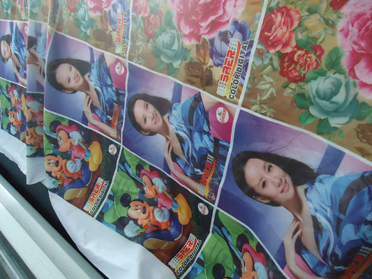 % 100 Polyester Pencereli Perde / Bayrak Kumaş 110-250 G / GSM