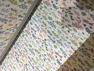 110V / 220V Automatic Fabric Printing System / Inkjet Fabric Printing Machine