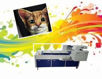 Dijital T Shirt Baskı Makinesi, 8 RICOH Baskı Kafalı Konfeksiyon Yazıcısına Direkt