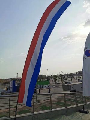 Bayraklar için Yüksek Çözünürlüklü Geniş Formatlı Süblimasyon Yazıcı 110V / 220V Voltaj