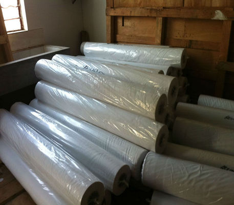 Kaplamalı Çözgü Örme Polyester ile Dijital Süblimasyon Baskı Kumaş